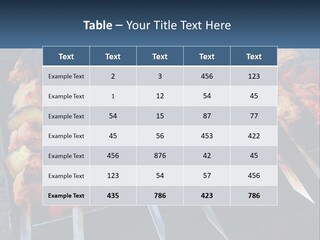 White Elderly Senior PowerPoint Template