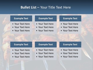 White Elderly Senior PowerPoint Template