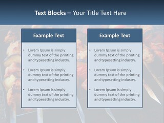 White Elderly Senior PowerPoint Template
