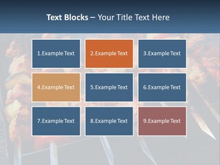 White Elderly Senior PowerPoint Template