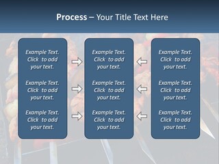 White Elderly Senior PowerPoint Template