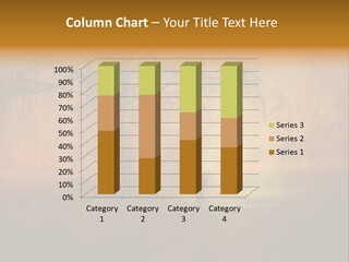 Coast Wave Wellness PowerPoint Template