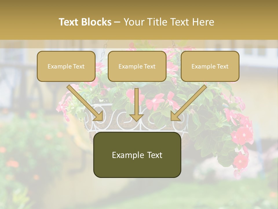 Standing Coastal Caucasian PowerPoint Template