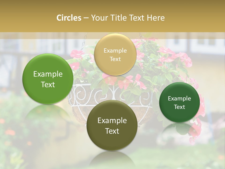 Standing Coastal Caucasian PowerPoint Template