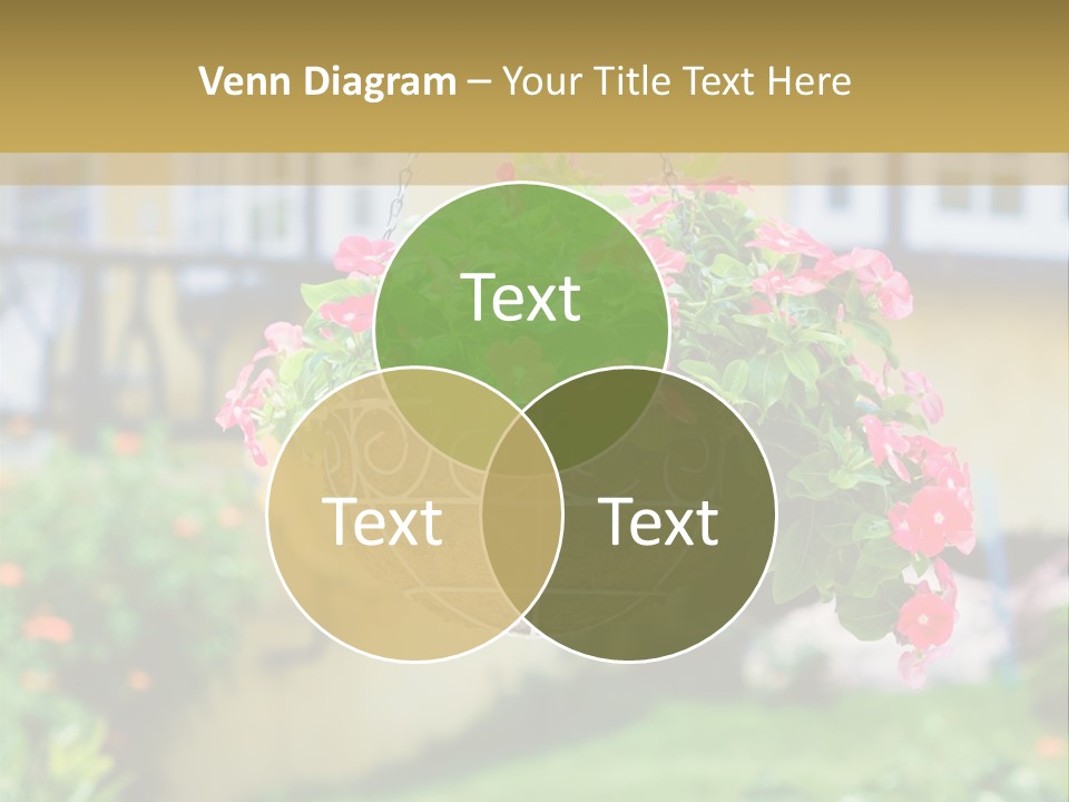 Standing Coastal Caucasian PowerPoint Template