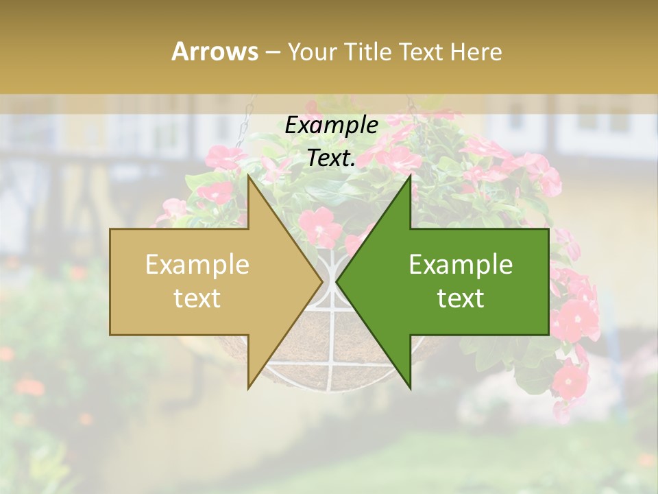 Standing Coastal Caucasian PowerPoint Template
