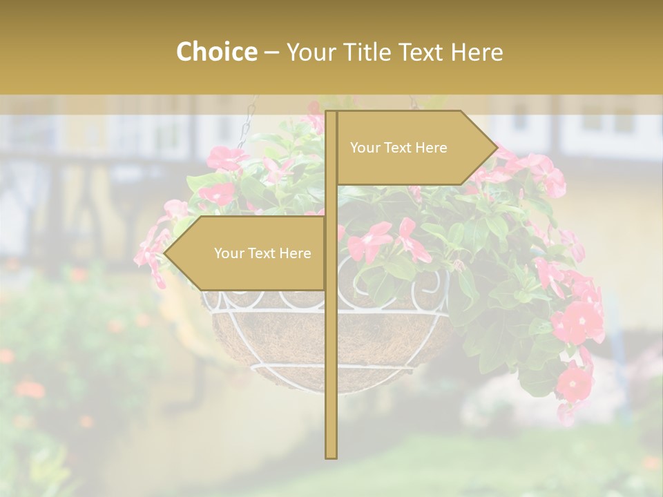 Standing Coastal Caucasian PowerPoint Template