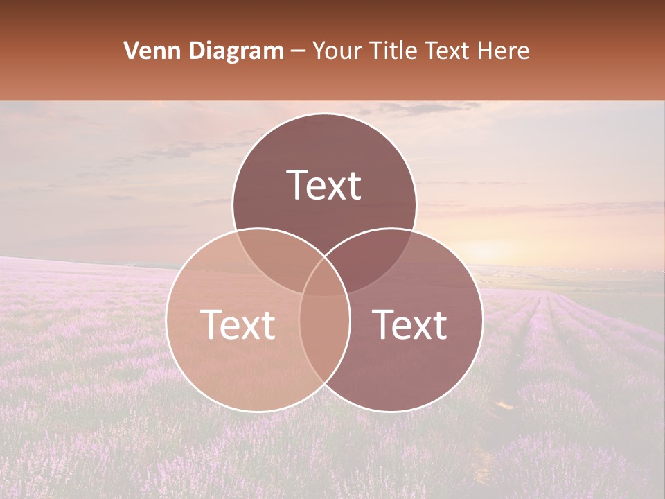 Old Mother Coastal PowerPoint Template