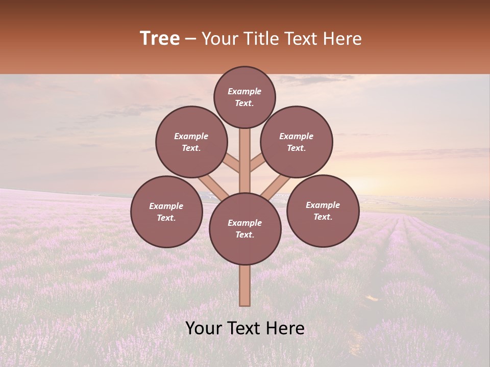 Old Mother Coastal PowerPoint Template