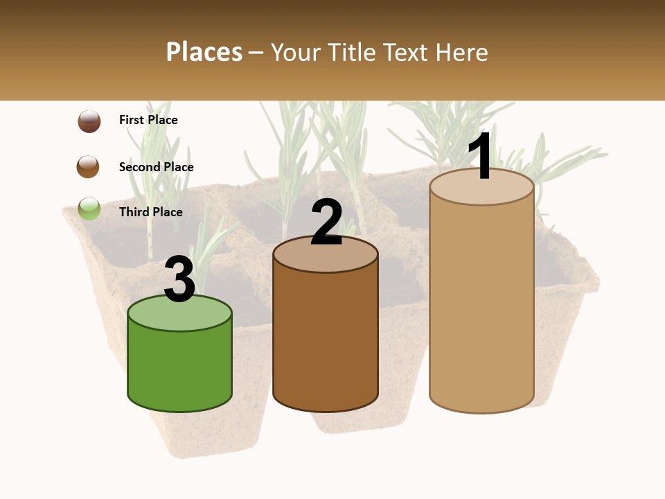 Sunset Portrait Calm PowerPoint Template