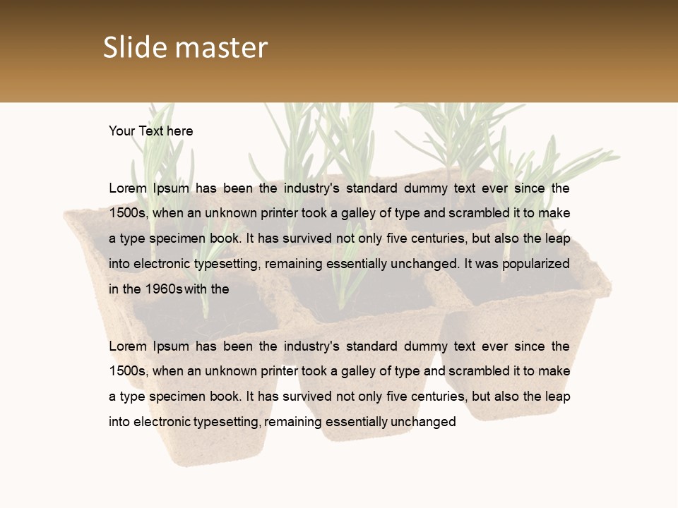 Sunset Portrait Calm PowerPoint Template