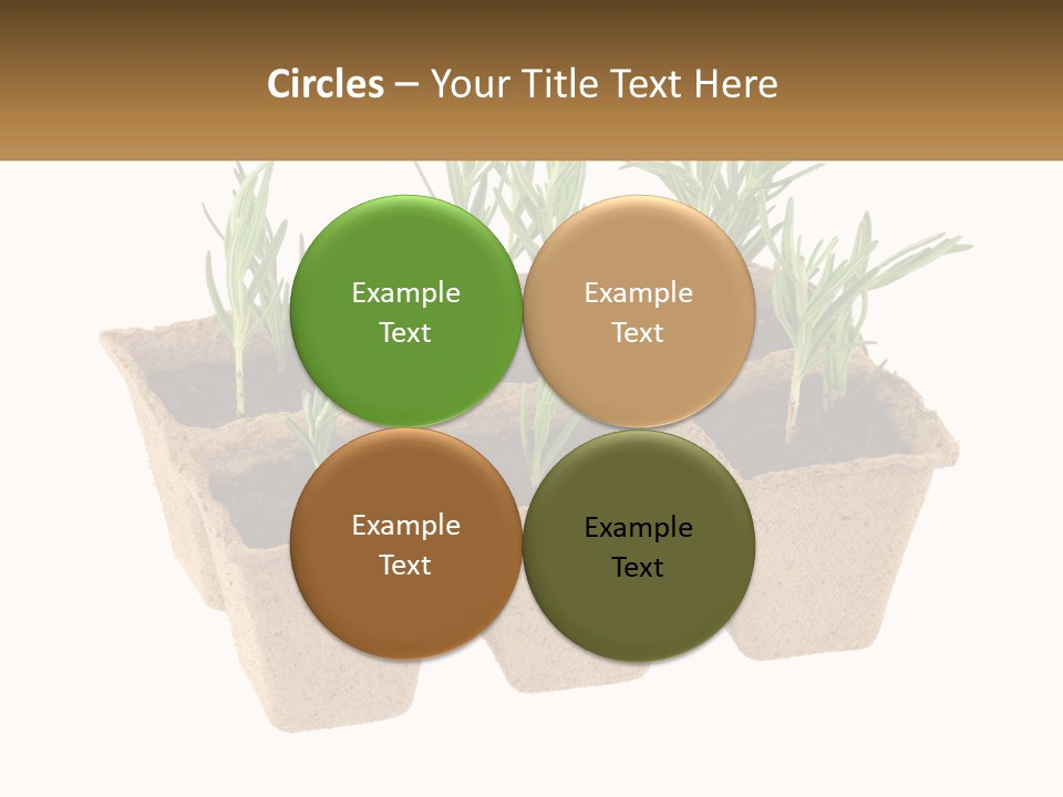 Sunset Portrait Calm PowerPoint Template