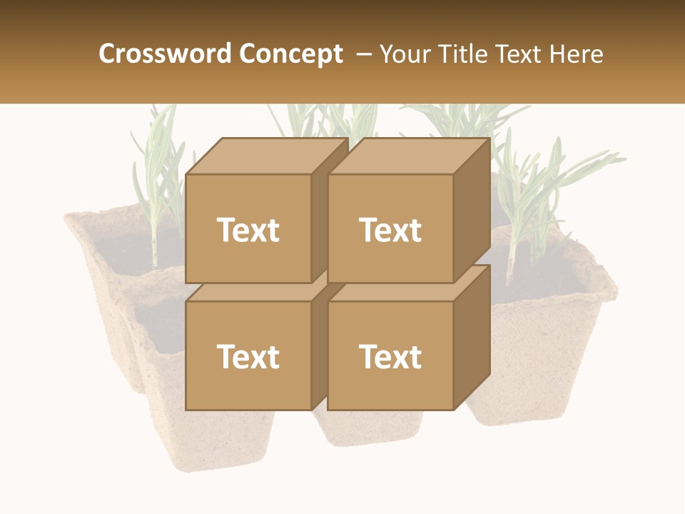 Sunset Portrait Calm PowerPoint Template