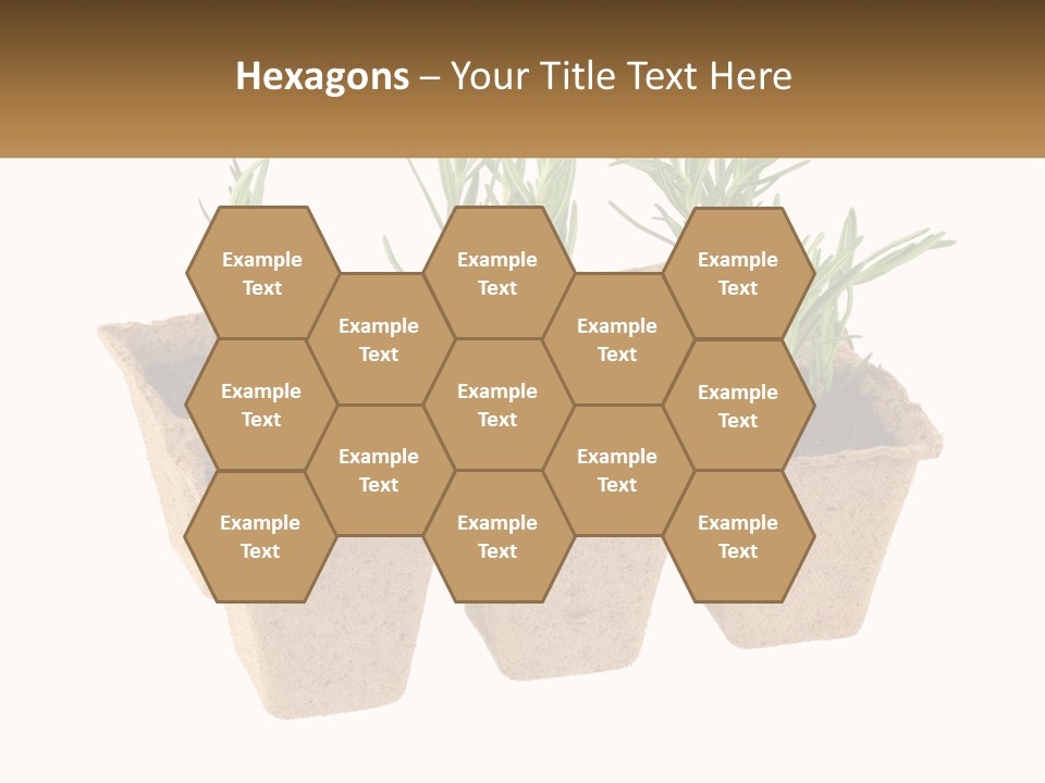 Sunset Portrait Calm PowerPoint Template