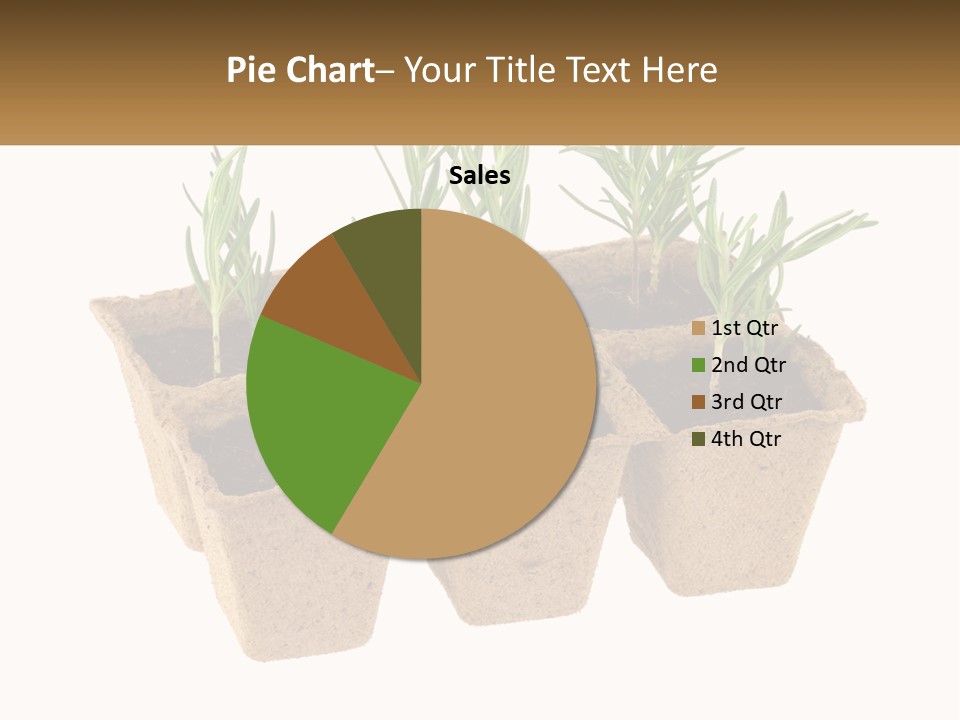 Sunset Portrait Calm PowerPoint Template
