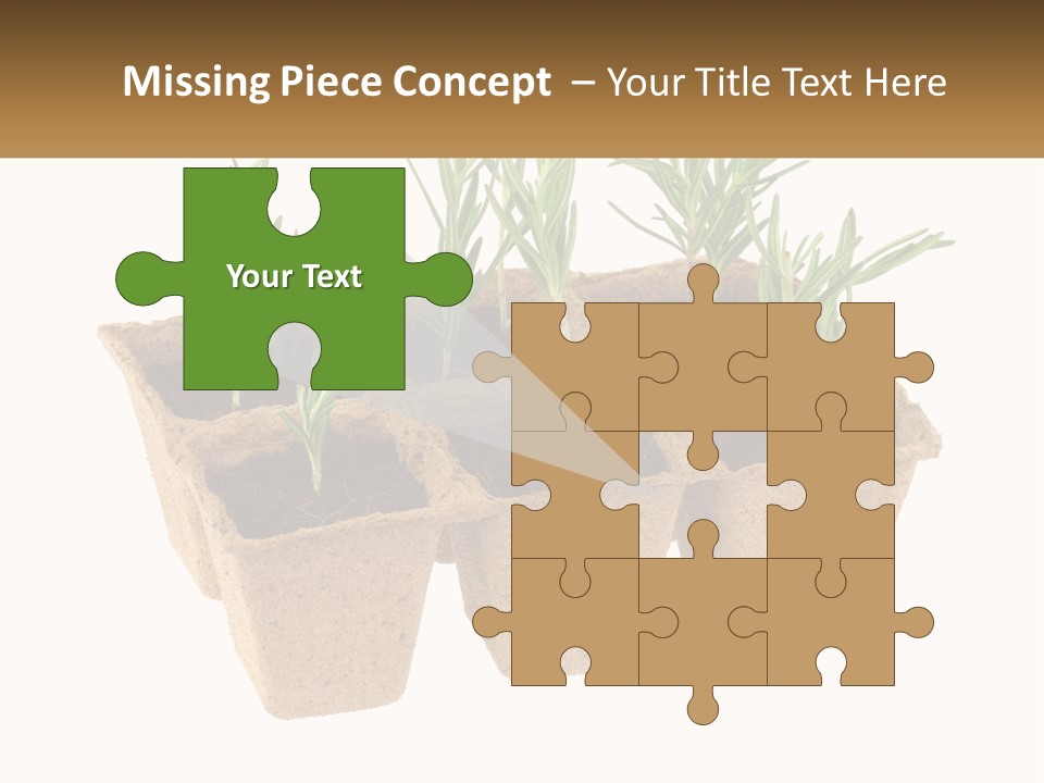 Sunset Portrait Calm PowerPoint Template