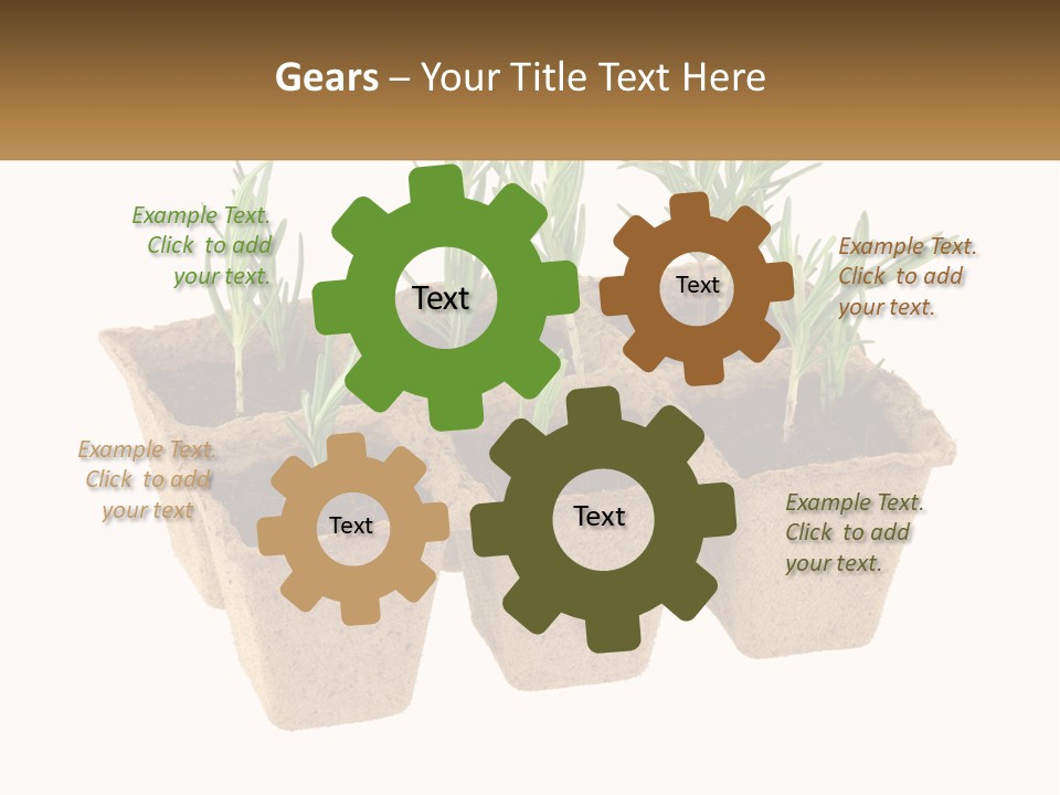 Sunset Portrait Calm PowerPoint Template