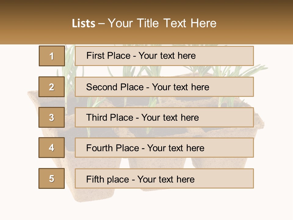 Sunset Portrait Calm PowerPoint Template