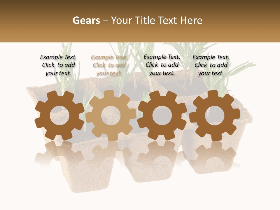 Sunset Portrait Calm PowerPoint Template