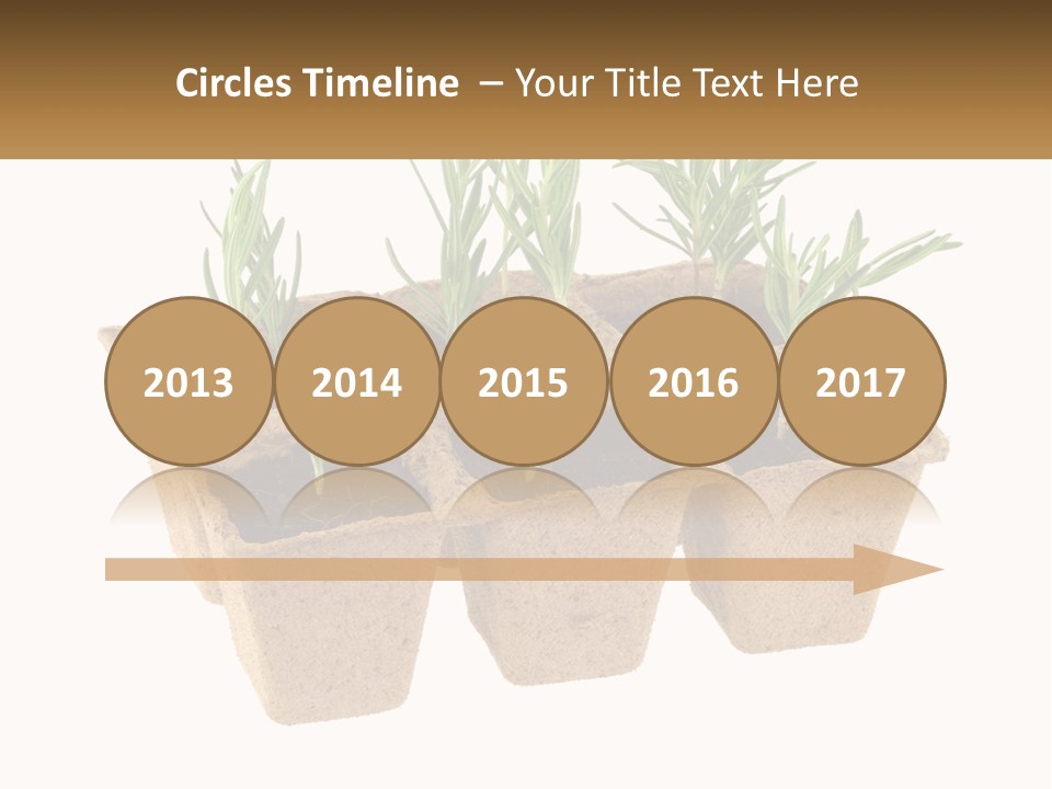 Sunset Portrait Calm PowerPoint Template