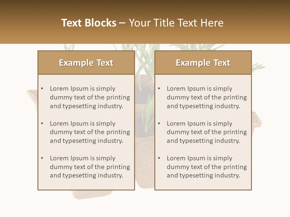 Sunset Portrait Calm PowerPoint Template
