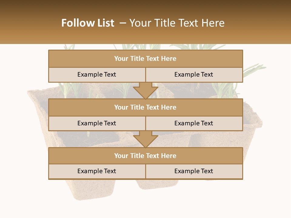 Sunset Portrait Calm PowerPoint Template
