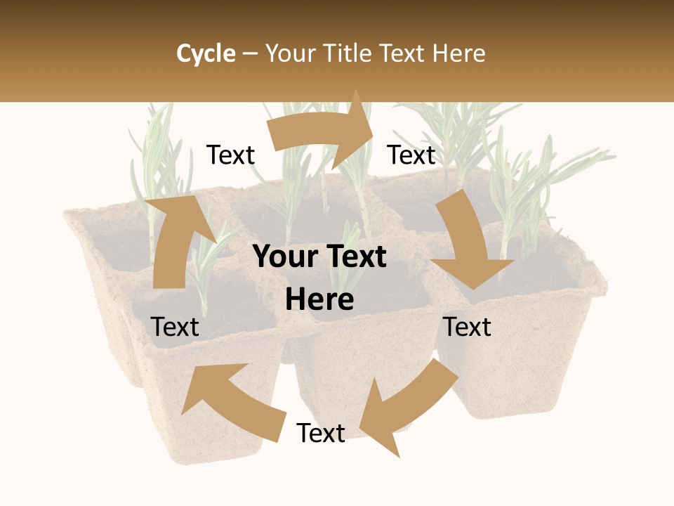 Sunset Portrait Calm PowerPoint Template