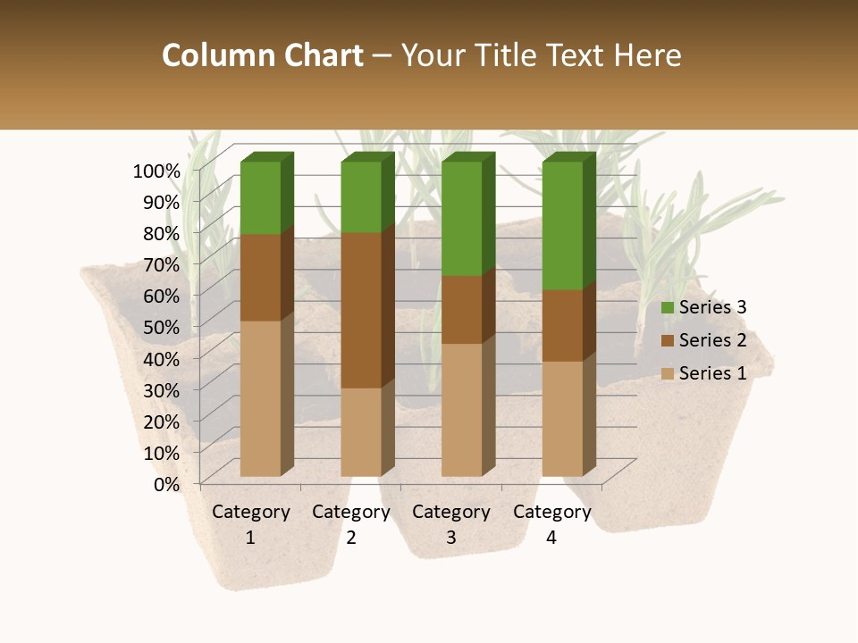 Sunset Portrait Calm PowerPoint Template