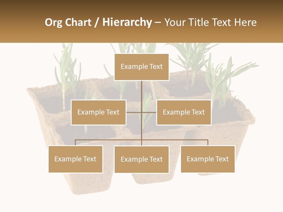 Sunset Portrait Calm PowerPoint Template