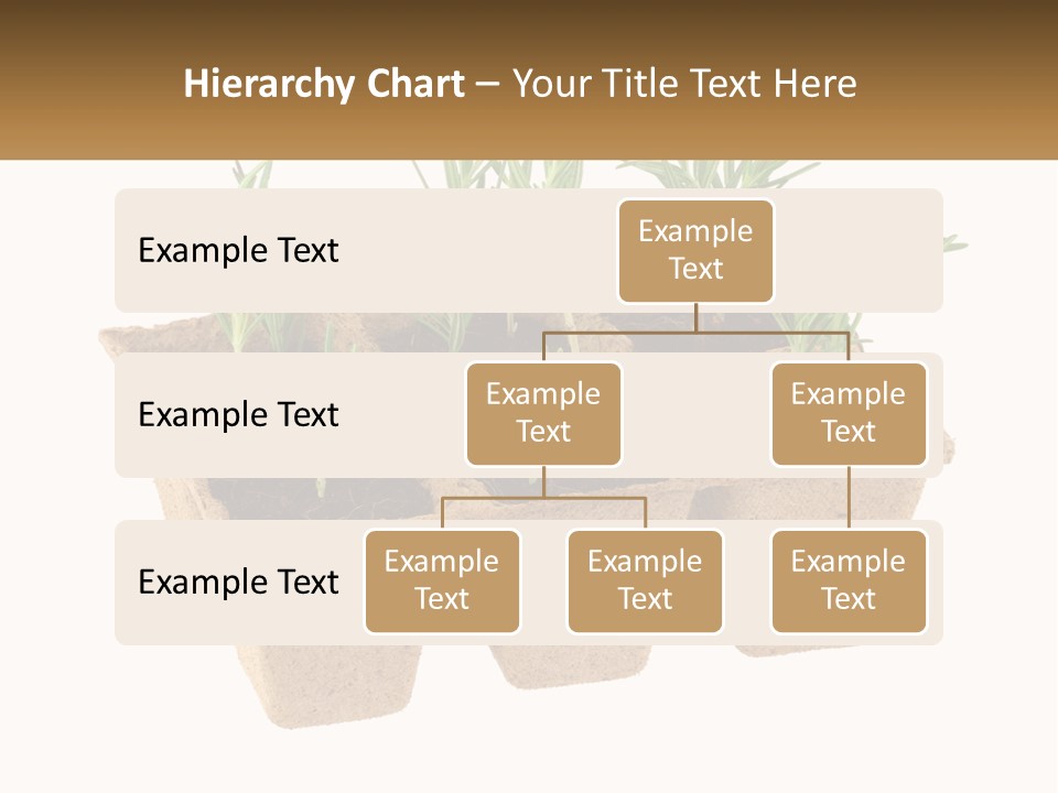 Sunset Portrait Calm PowerPoint Template