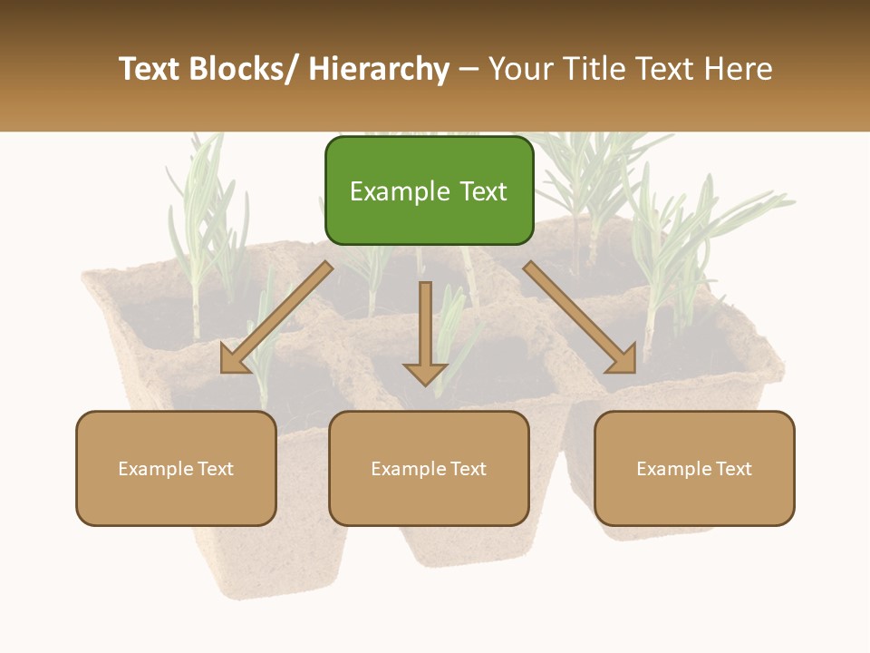 Sunset Portrait Calm PowerPoint Template