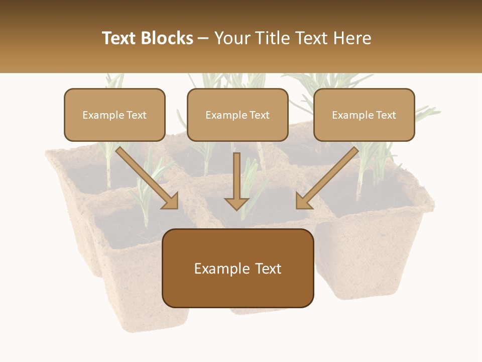 Sunset Portrait Calm PowerPoint Template