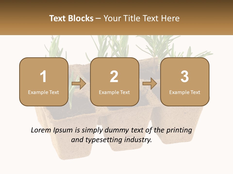 Sunset Portrait Calm PowerPoint Template