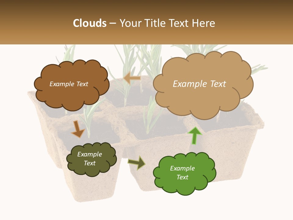 Sunset Portrait Calm PowerPoint Template