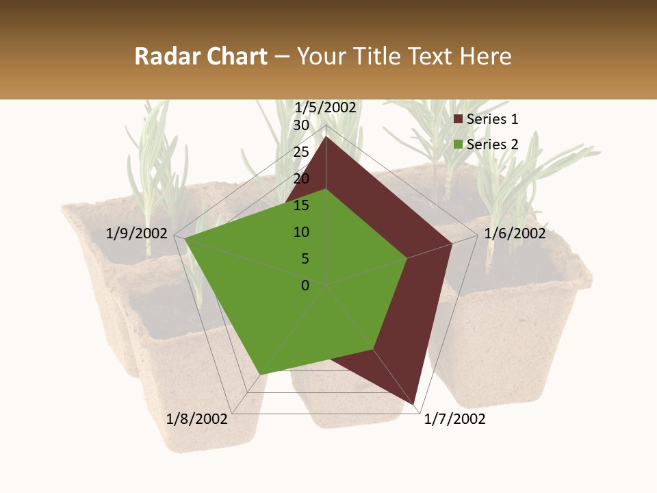 Sunset Portrait Calm PowerPoint Template