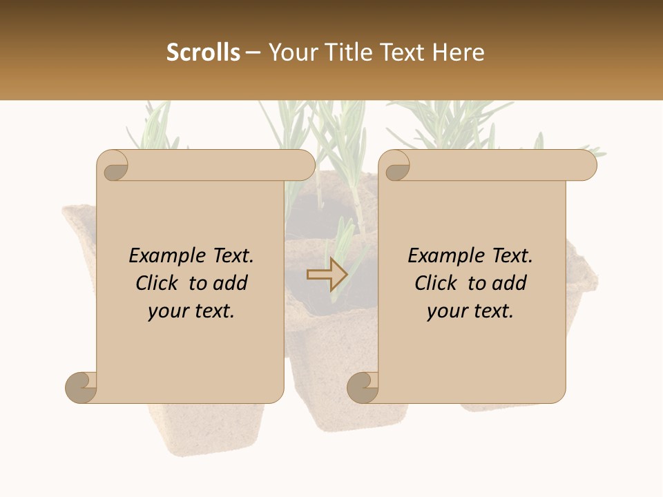 Sunset Portrait Calm PowerPoint Template