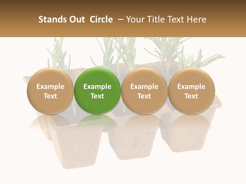 Sunset Portrait Calm PowerPoint Template