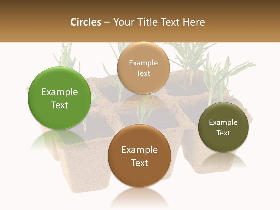 Sunset Portrait Calm PowerPoint Template