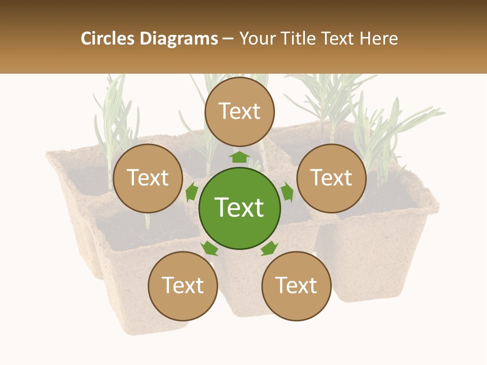 Sunset Portrait Calm PowerPoint Template