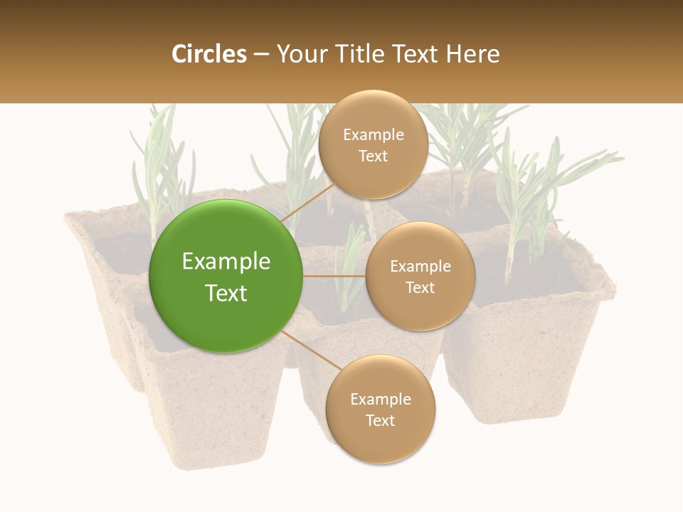 Sunset Portrait Calm PowerPoint Template