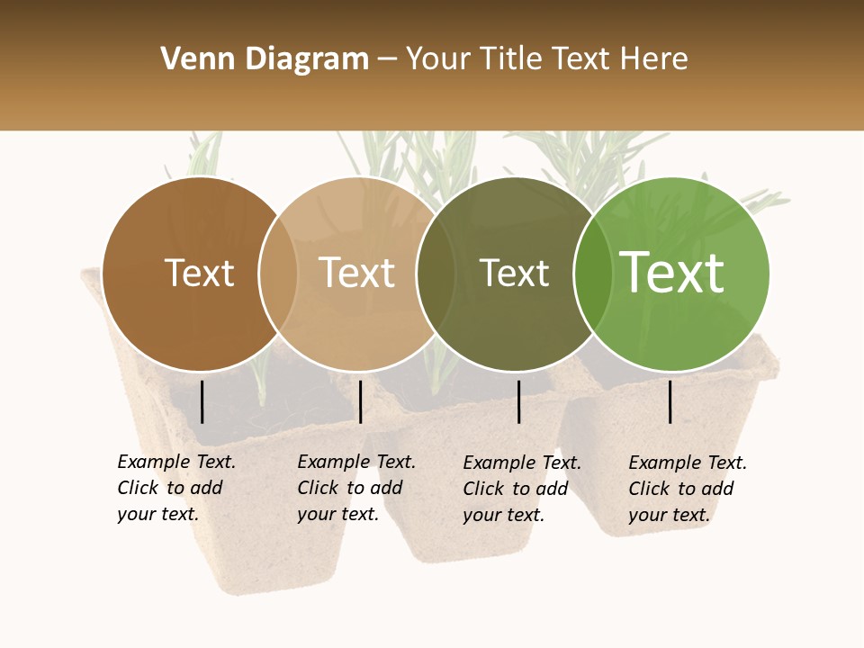 Sunset Portrait Calm PowerPoint Template