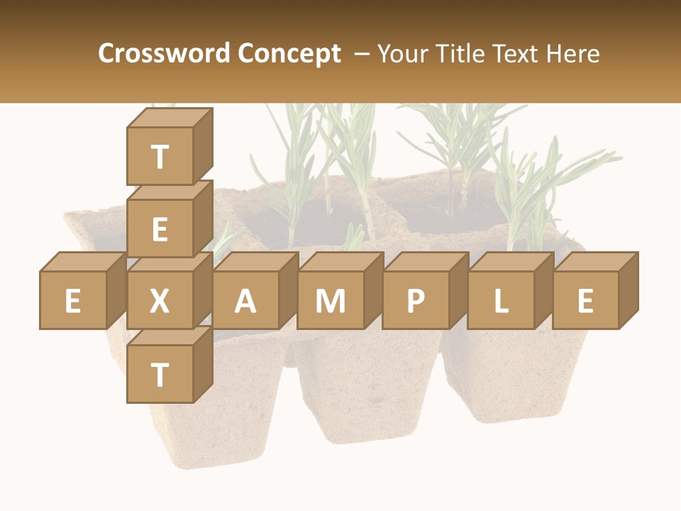 Sunset Portrait Calm PowerPoint Template