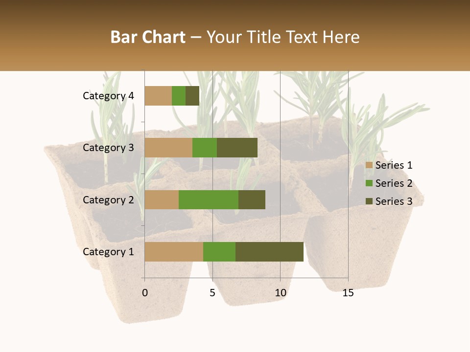 Sunset Portrait Calm PowerPoint Template