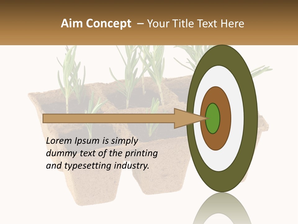 Sunset Portrait Calm PowerPoint Template