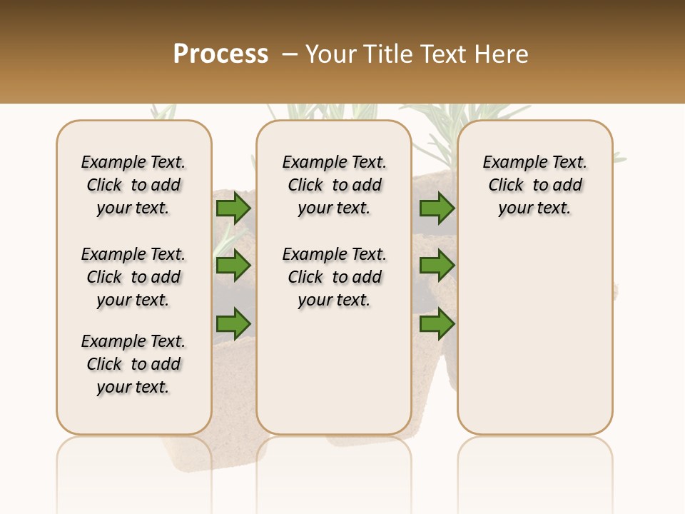 Sunset Portrait Calm PowerPoint Template