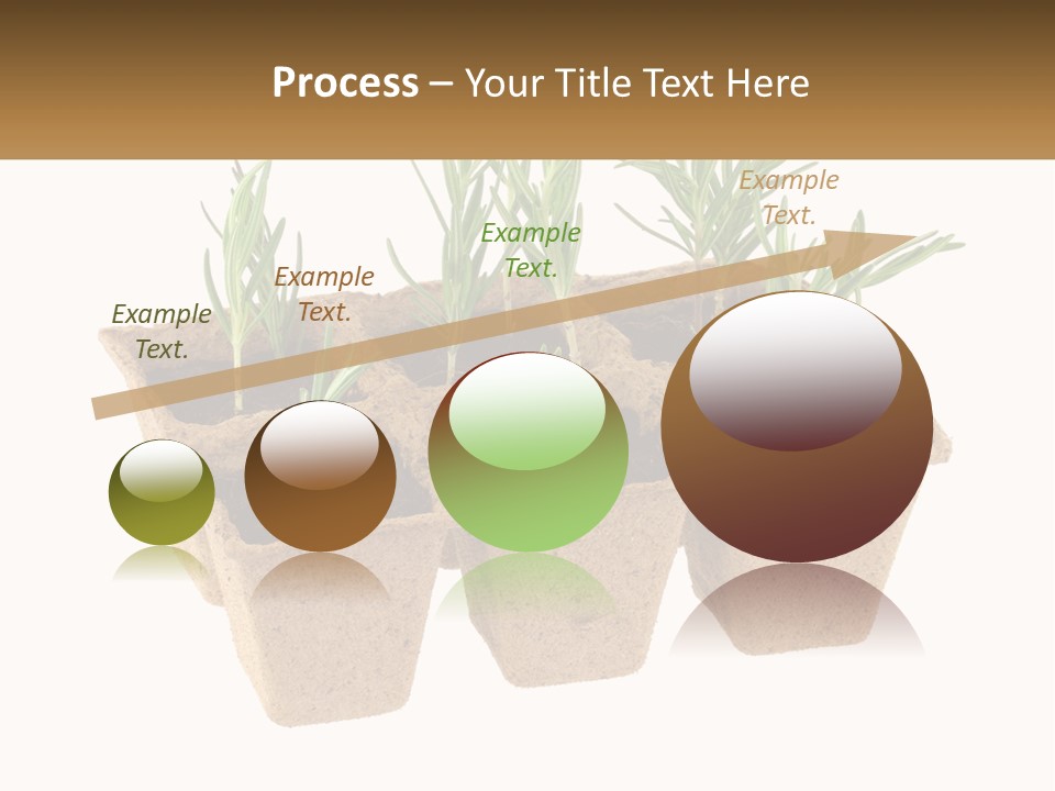 Sunset Portrait Calm PowerPoint Template