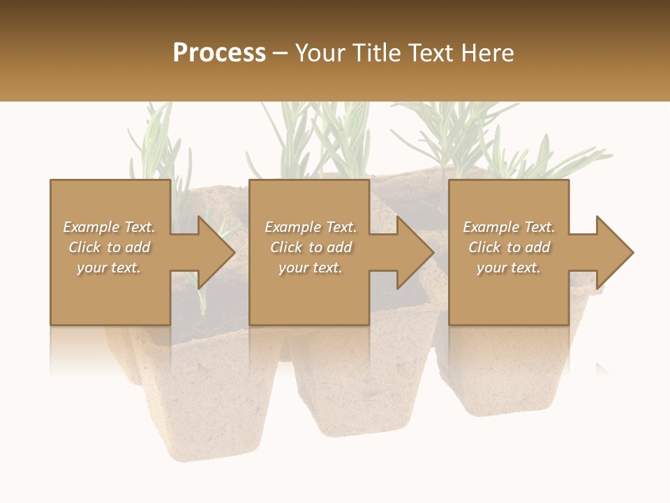Sunset Portrait Calm PowerPoint Template
