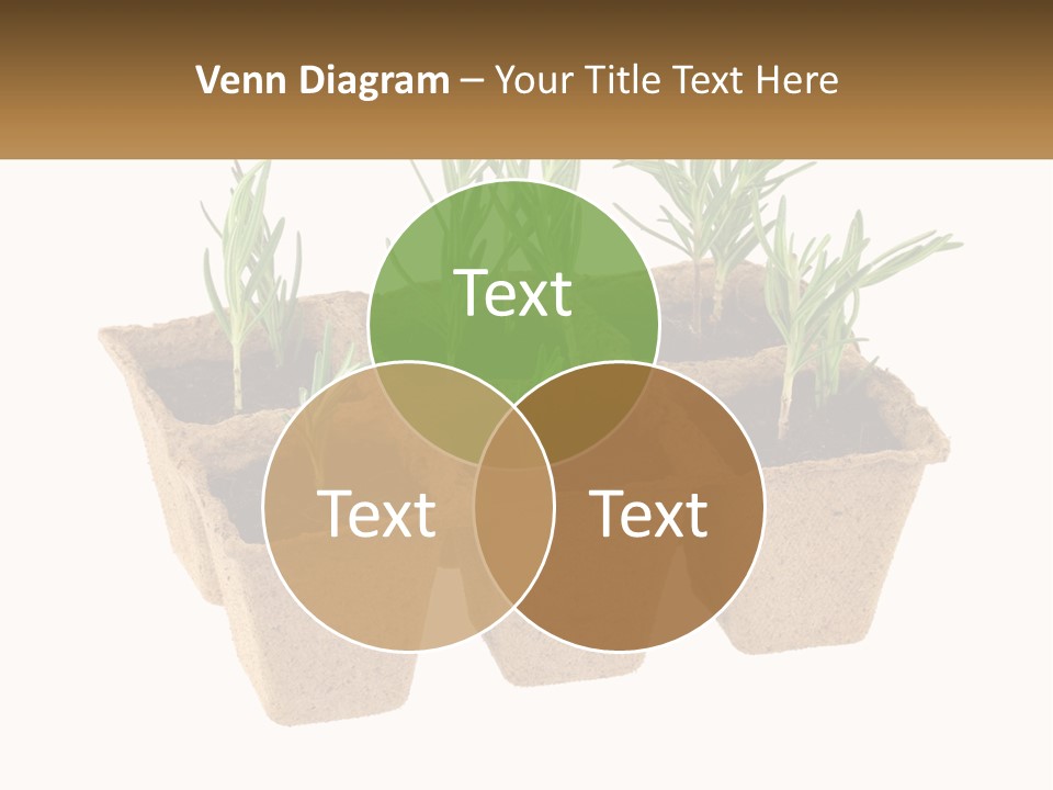 Sunset Portrait Calm PowerPoint Template