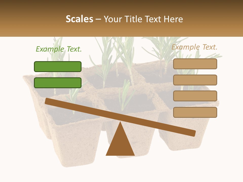 Sunset Portrait Calm PowerPoint Template