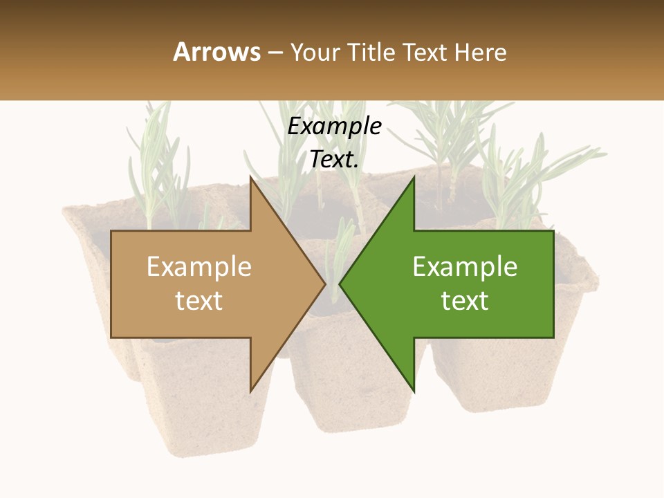 Sunset Portrait Calm PowerPoint Template